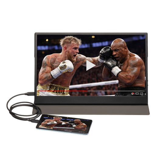 DENVER PMO-15604 tragbarer 15,6 Zoll Full HD Monitor